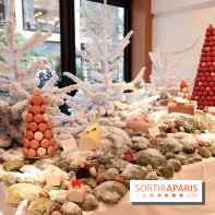 Pierre Hermé : Bûches, galette et créations de Noël 2018