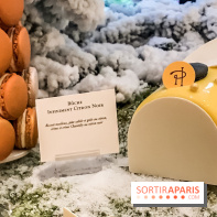 Pierre Hermé : Bûches, galette et créations de Noël 2018
