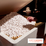 Nuit Blanche 2018 à Paris