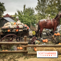 Halloween à la Mer de Sable 2018, les photos