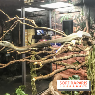 Poison au Palais de la Découverte, les photos 