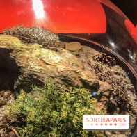 Poison au Palais de la Découverte, les photos 