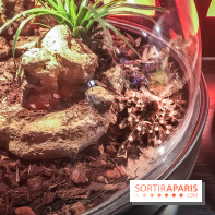 Poison au Palais de la Découverte, les photos 