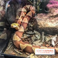 Poison au Palais de la Découverte, les photos 