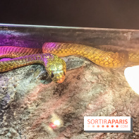 Poison au Palais de la Découverte, les photos 