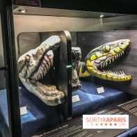 Poison au Palais de la Découverte, les photos 