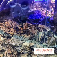 Poison au Palais de la Découverte, les photos 