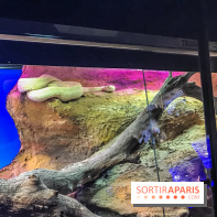 Poison au Palais de la Découverte, les photos 