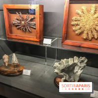 Poison au Palais de la Découverte, les photos 