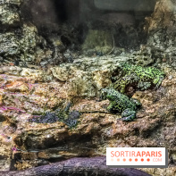 Poison au Palais de la Découverte, les photos 