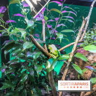 Poison au Palais de la Découverte, les photos 