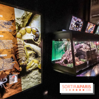 Poison au Palais de la Découverte, les photos 