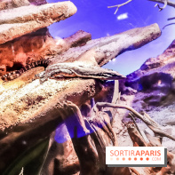 Poison au Palais de la Découverte, les photos 