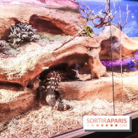 Poison au Palais de la Découverte, les photos 