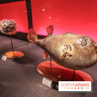 Poison au Palais de la Découverte, les photos 