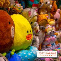 Paris Manga & Sci-Fi Show 26e édition 2018, notre reportage