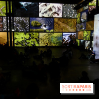 Terra Magnifica à L'Atelier des Lumières