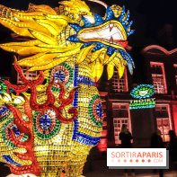 Thoiry Lumières Sauvages, les photos