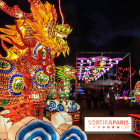 Thoiry Lumières Sauvages,lions