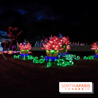 Thoiry Lumières Sauvages, les photos