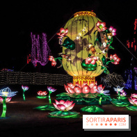 Thoiry Lumières Sauvages, les photos