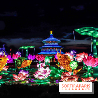 Thoiry Lumières Sauvages, les photos images - visuel