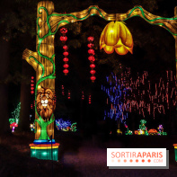 Thoiry Lumières Sauvages, les photos