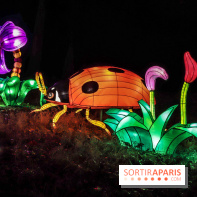 Thoiry Lumières Sauvages, les photos