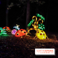 Thoiry Lumières Sauvages, les photos