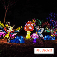 Thoiry Lumières Sauvages, les photos