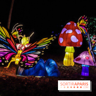 Thoiry Lumières Sauvages, les photos