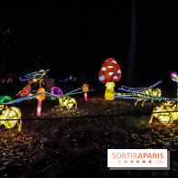 Thoiry Lumières Sauvages, les photos