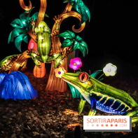 Thoiry Lumières Sauvages, les photos