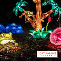 Thoiry Lumières Sauvages, les photos