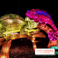 Thoiry Lumières Sauvages, les photos