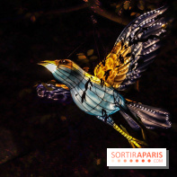 Thoiry Lumières Sauvages, les photos