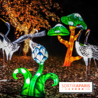 Thoiry Lumières Sauvages, les photos