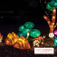 Thoiry Lumières Sauvages, les photos