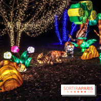 Thoiry Lumières Sauvages, les photos