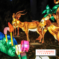 Thoiry Lumières Sauvages, les photos