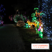Thoiry Lumières Sauvages, les photos