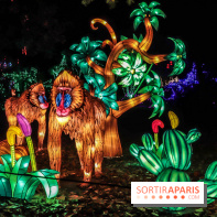 Thoiry Lumières Sauvages, les photos