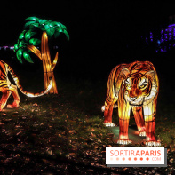 Thoiry Lumières Sauvages, les photos