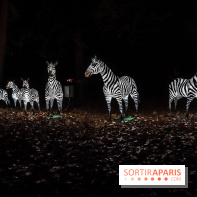 Thoiry Lumières Sauvages, les photos