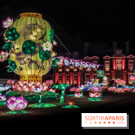 Thoiry Lumières Sauvages, les photos