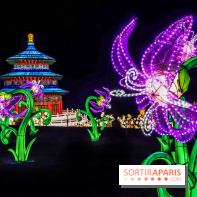 Thoiry Lumières Sauvages, les photos