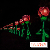 Thoiry Lumières Sauvages, les photos