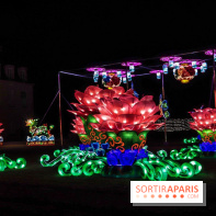 Thoiry Lumières Sauvages, les photos