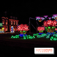 Thoiry Lumières Sauvages, les photos