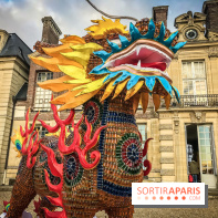 Thoiry Lumières Sauvages, les photos